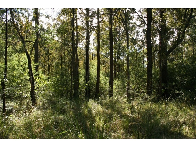 270 Washpool Creek Road, Booral NSW 2425