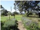 60 Brewers Road, Dungog NSW 2420