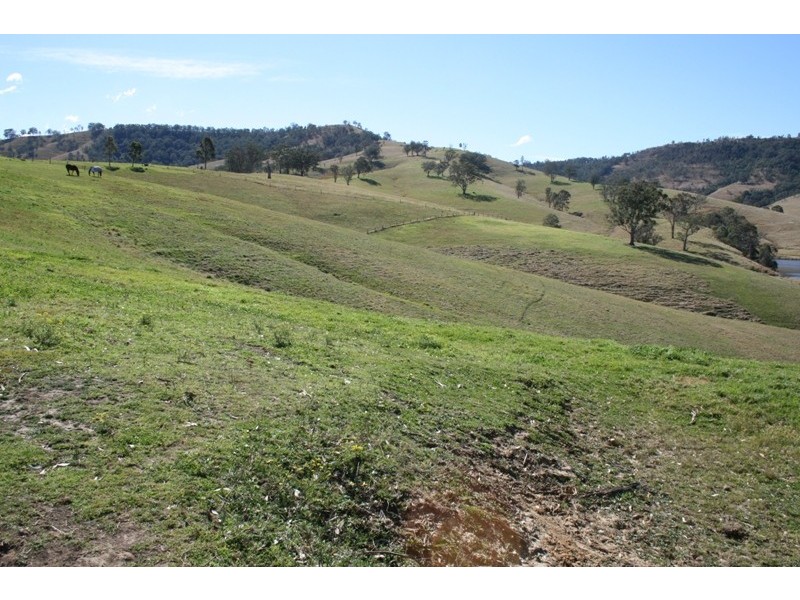 132 Chesworth Road, Gresford NSW 2311