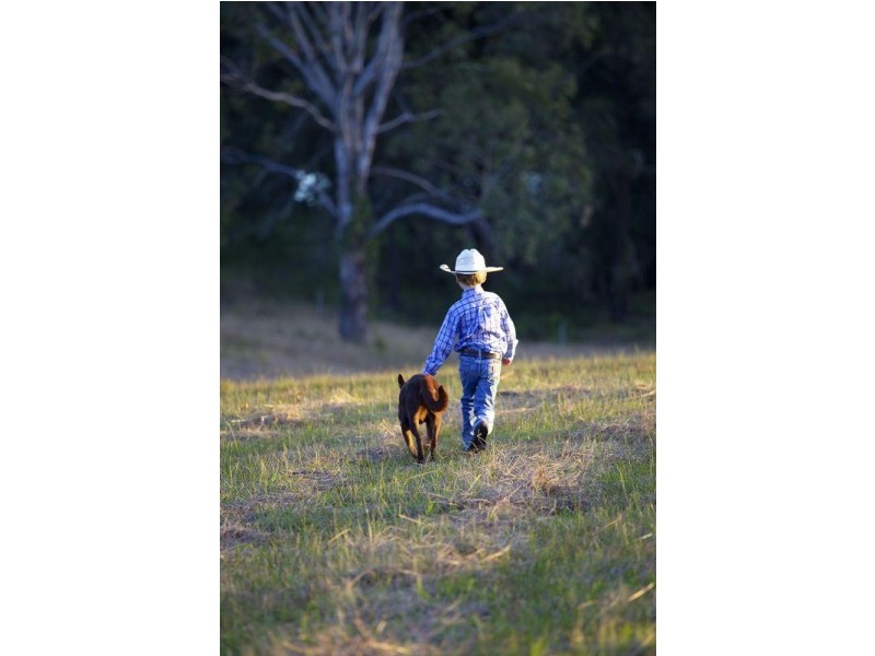 Stage 3 & 4 Riverdowns Estate, Clarence Town NSW 2321