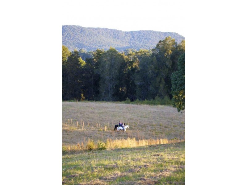 Stage 3 & 4 Riverdowns Estate, Clarence Town NSW 2321
