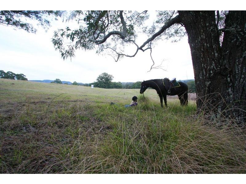 Stage 3 & 4 Riverdowns Estate, Clarence Town NSW 2321