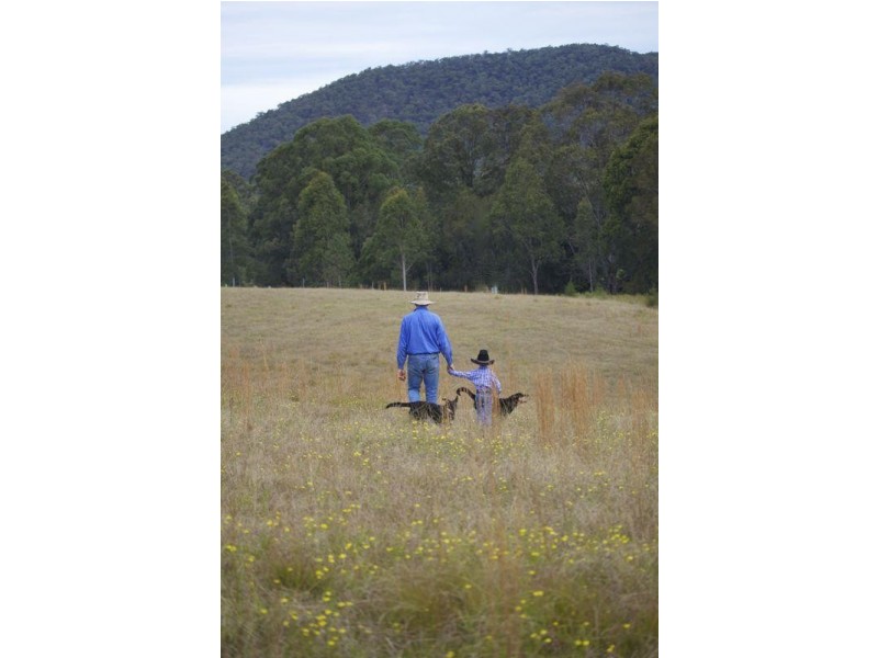 Stage 3 & 4 Riverdowns Estate, Clarence Town NSW 2321