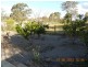 Dungog NSW 2420