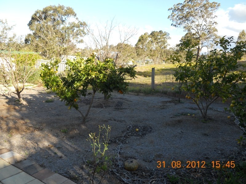Dungog NSW 2420