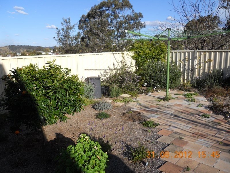 Dungog NSW 2420