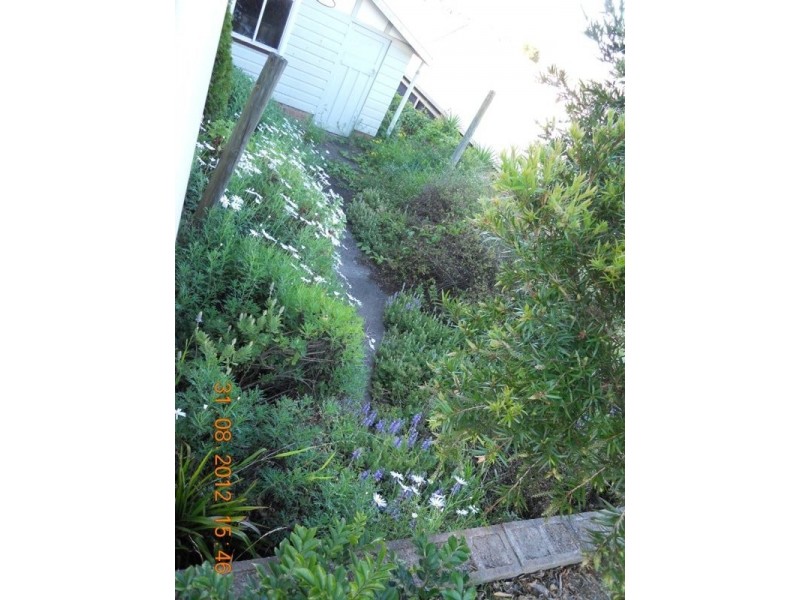 Dungog NSW 2420