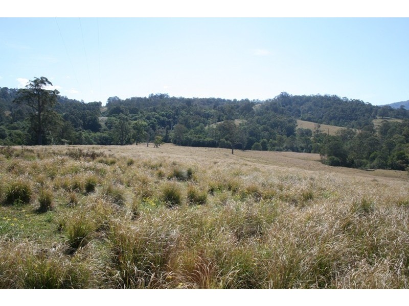 530 Chichester Road, Dungog NSW 2420