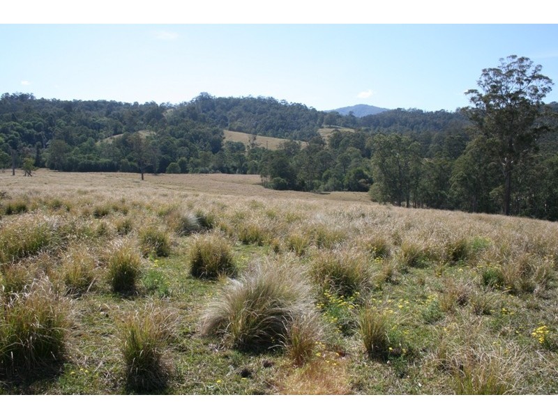 530 Chichester Road, Dungog NSW 2420