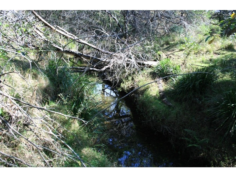 530 Chichester Road, Dungog NSW 2420