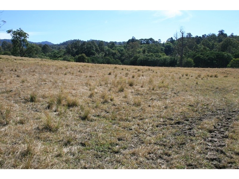 530 Chichester Road, Dungog NSW 2420