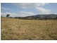 223 Hanleys Creek Road, Dungog NSW 2420