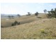 223 Hanleys Creek Road, Dungog NSW 2420