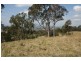 223 Hanleys Creek Road, Dungog NSW 2420