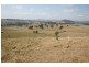223 Hanleys Creek Road, Dungog NSW 2420