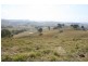 223 Hanleys Creek Road, Dungog NSW 2420