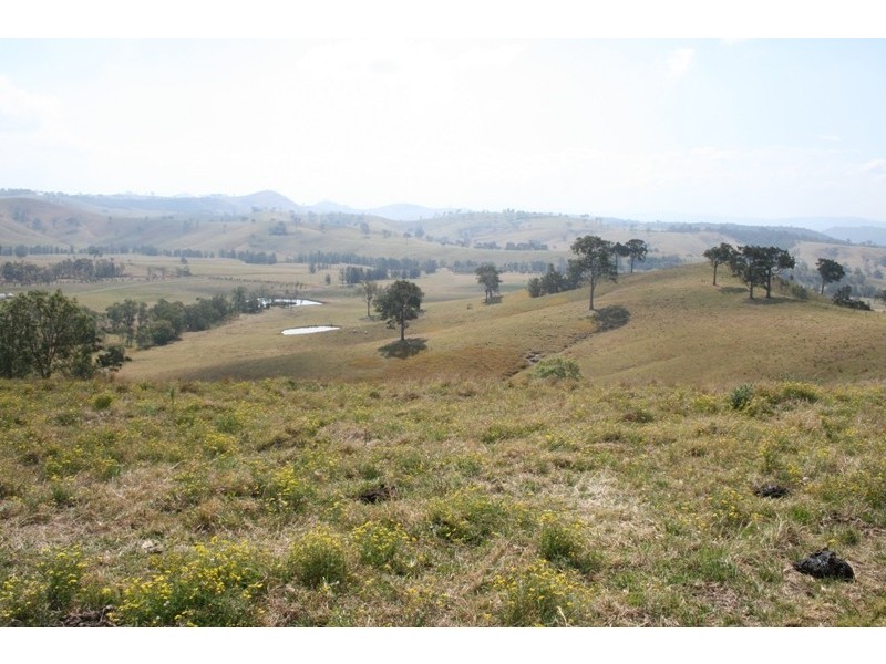 223 Hanleys Creek Road, Dungog NSW 2420