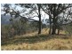 223 Hanleys Creek Road, Dungog NSW 2420