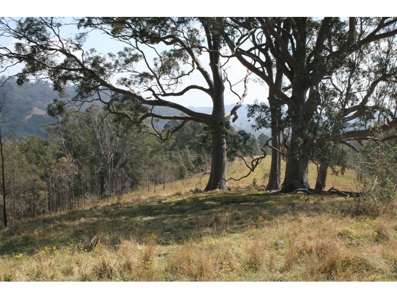 223 Hanleys Creek Road, Dungog NSW 2420