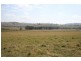 223 Hanleys Creek Road, Dungog NSW 2420