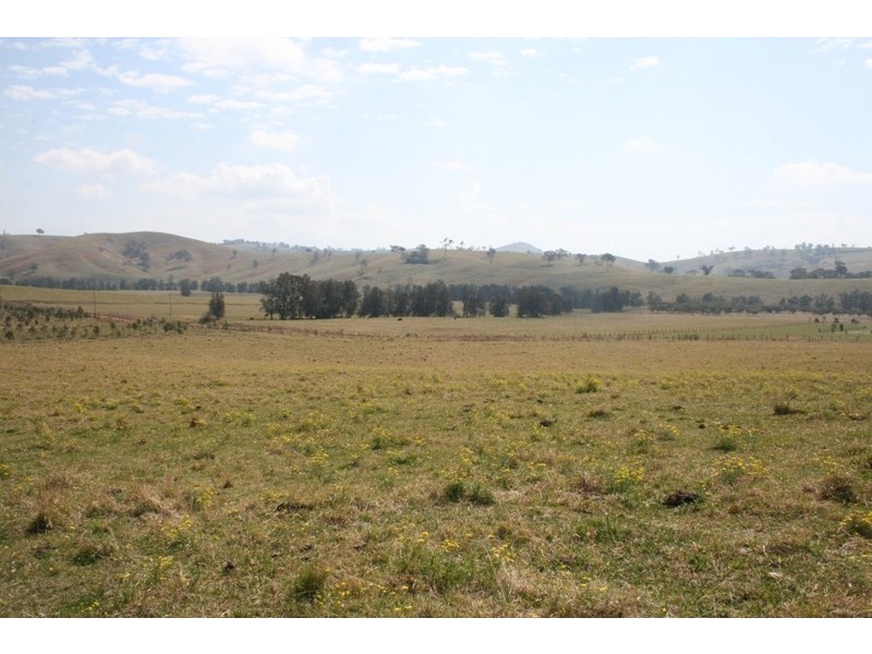 223 Hanleys Creek Road, Dungog NSW 2420