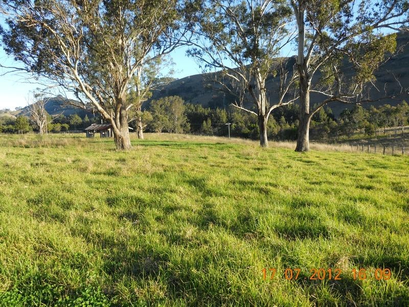 535 Salisbury, Dungog NSW 2420