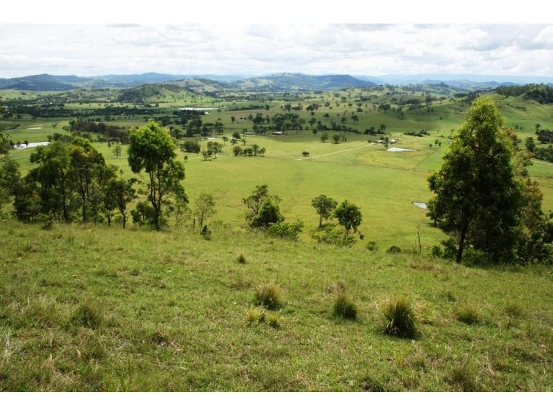 Lot 8 Torryburn Road, Torryburn NSW 2421