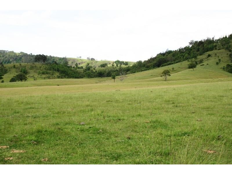 Lot 8 Torryburn Road, Torryburn NSW 2421