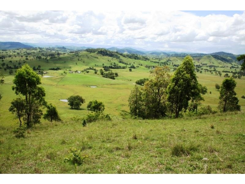 Lot 8 Torryburn Road, Torryburn NSW 2421