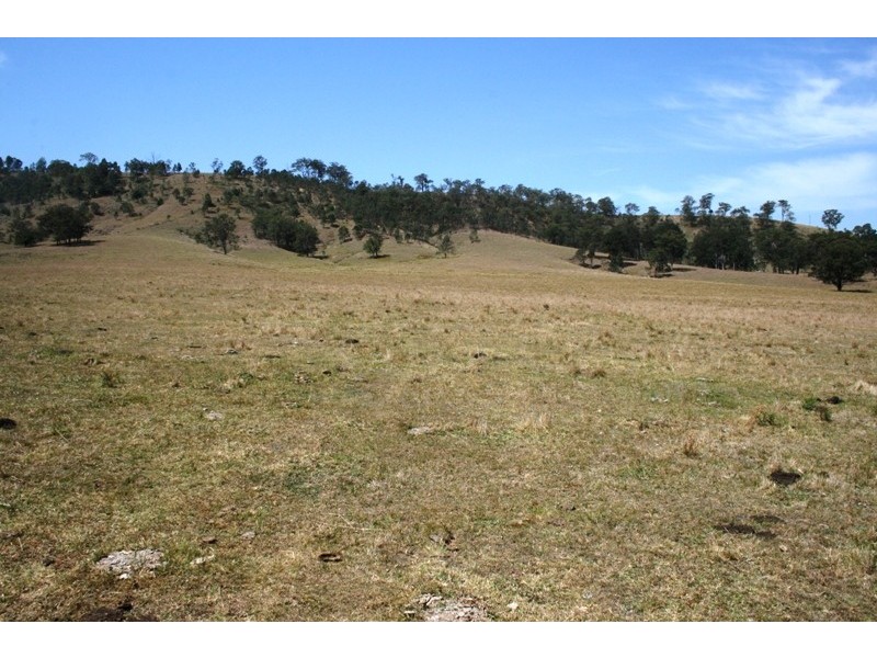 Lot 8 Torryburn Road, Torryburn NSW 2421