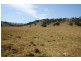Lot 8 Torryburn Road, Torryburn NSW 2421