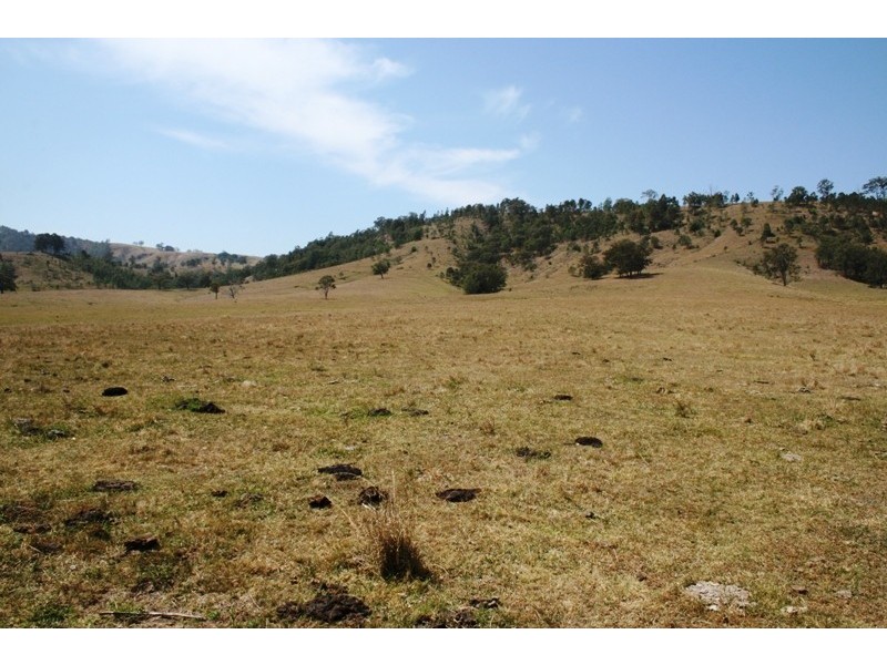 Lot 8 Torryburn Road, Torryburn NSW 2421