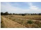 Lot 8 Torryburn Road, Torryburn NSW 2421