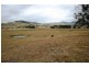 Lot 8 Torryburn Road, Torryburn NSW 2421