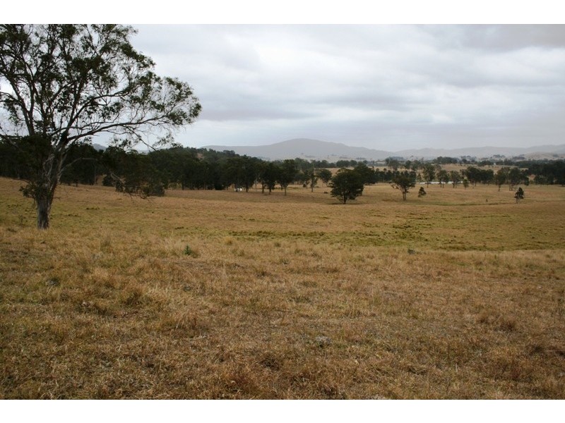 Lot 8 Torryburn Road, Torryburn NSW 2421