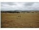 Lot 8 Torryburn Road, Torryburn NSW 2421