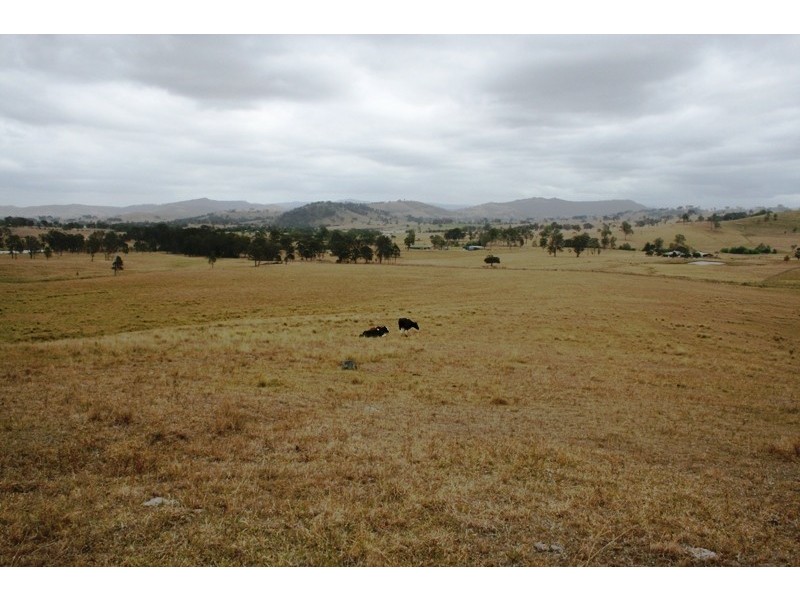 Lot 8 Torryburn Road, Torryburn NSW 2421
