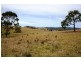 Lot 108 Clements Road, Gresford NSW 2311