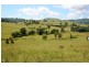 Lot 108 Clements Road, Gresford NSW 2311