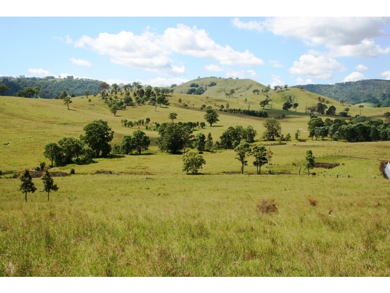 Lot 108 Clements Road, Gresford NSW 2311