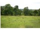 Lot 1 Bingleburra Road, Dungog NSW 2420