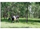 Lot 1 Bingleburra Road, Dungog NSW 2420