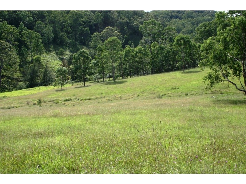 Lot 1 Bingleburra Road, Dungog NSW 2420