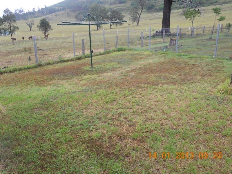 East Gresford NSW 2311