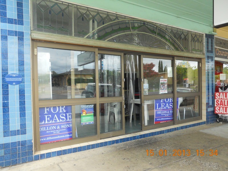 172 Dowling Street Dungog, Dungog NSW 2420