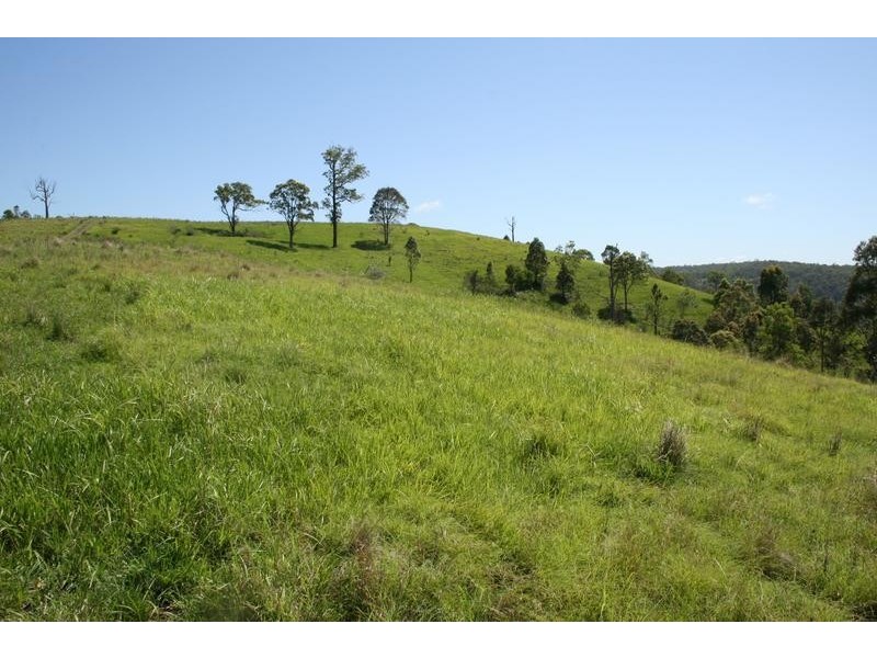 Lot 473 Germons Road, Dungog NSW 2420