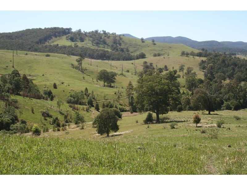 Lot 473 Germons Road, Dungog NSW 2420