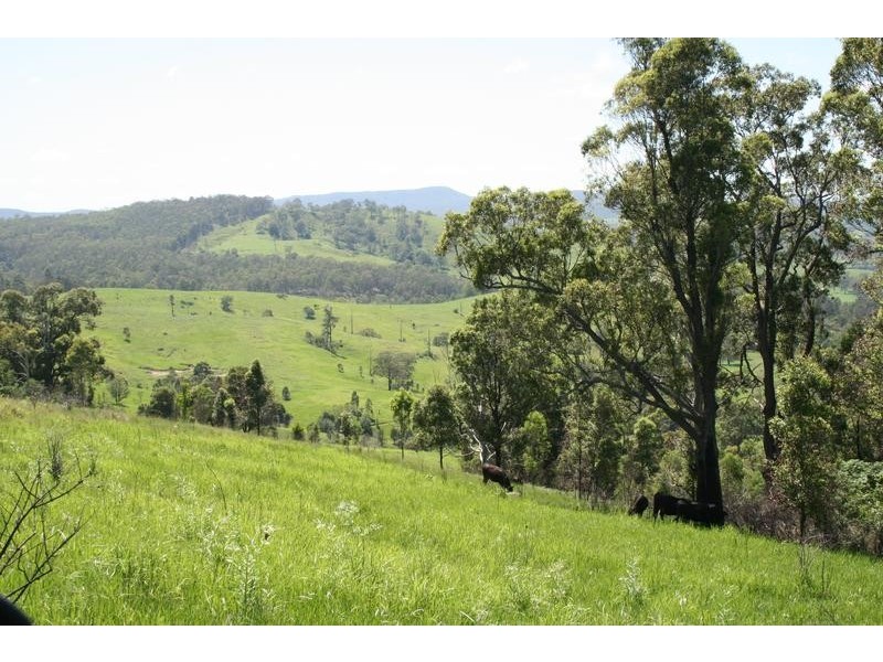 Lot 473 Germons Road, Dungog NSW 2420