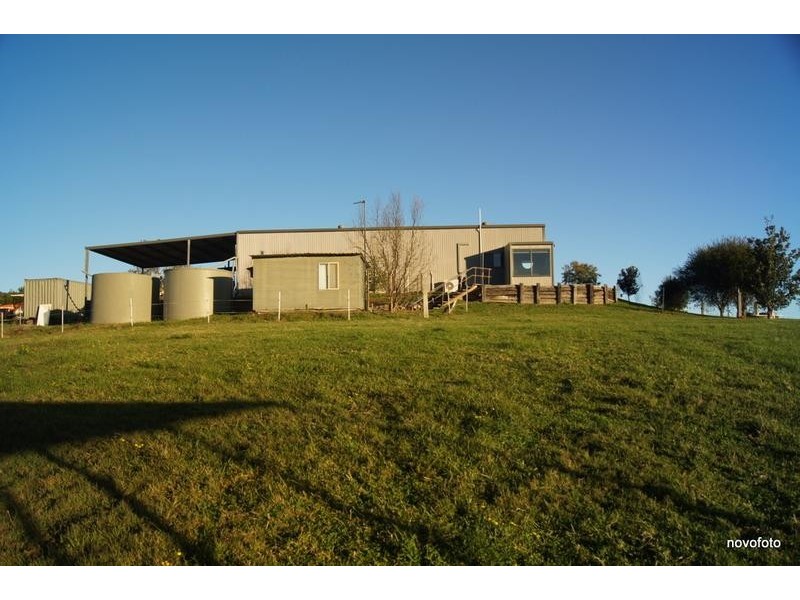 50 Moylans Road, Dungog NSW 2420