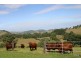 50 Moylans Road, Dungog NSW 2420